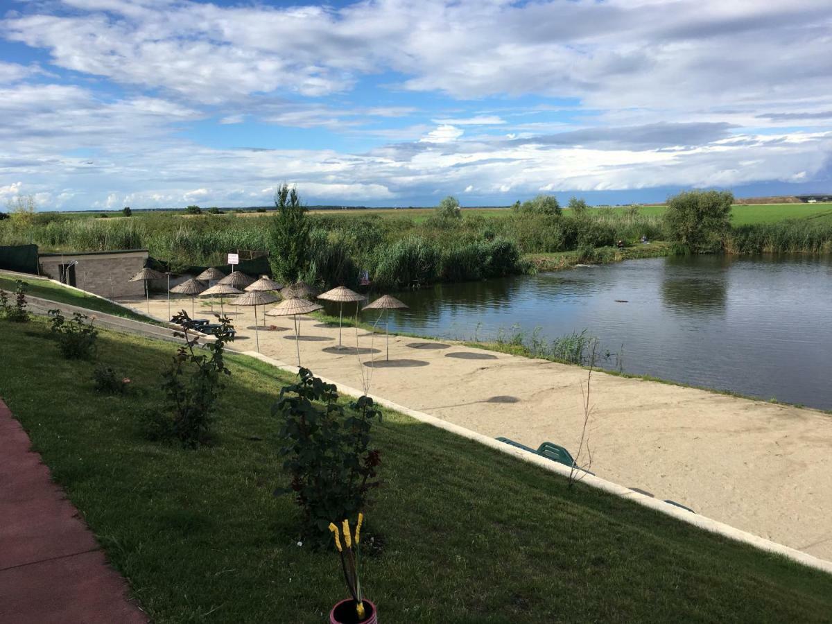 Luxury Apartment With Pool In North Bucharest Cretuleasca Bagian luar foto